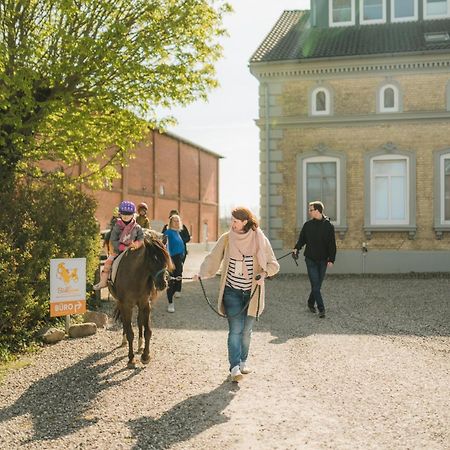 Buedlfarm - Der Familien-Erlebnishof In Strandnaehe Фехмарн Екстериор снимка